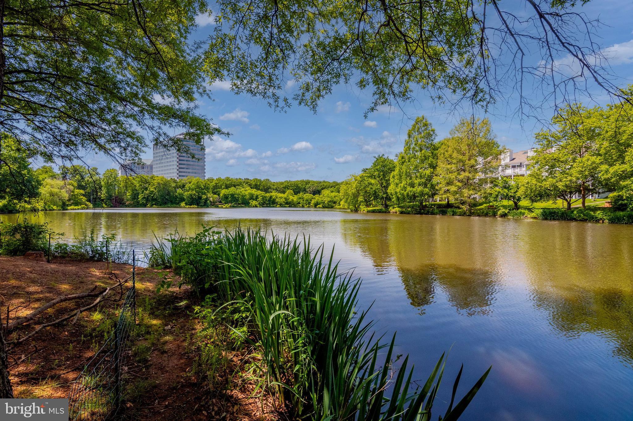 NEW PROVIDENCE VILLAGE - Residential Lease