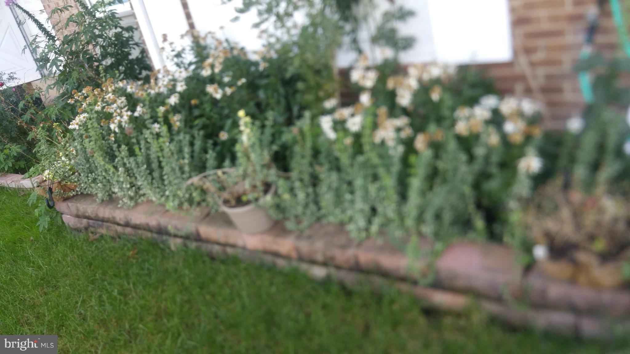 DALE CITY - Residential Lease