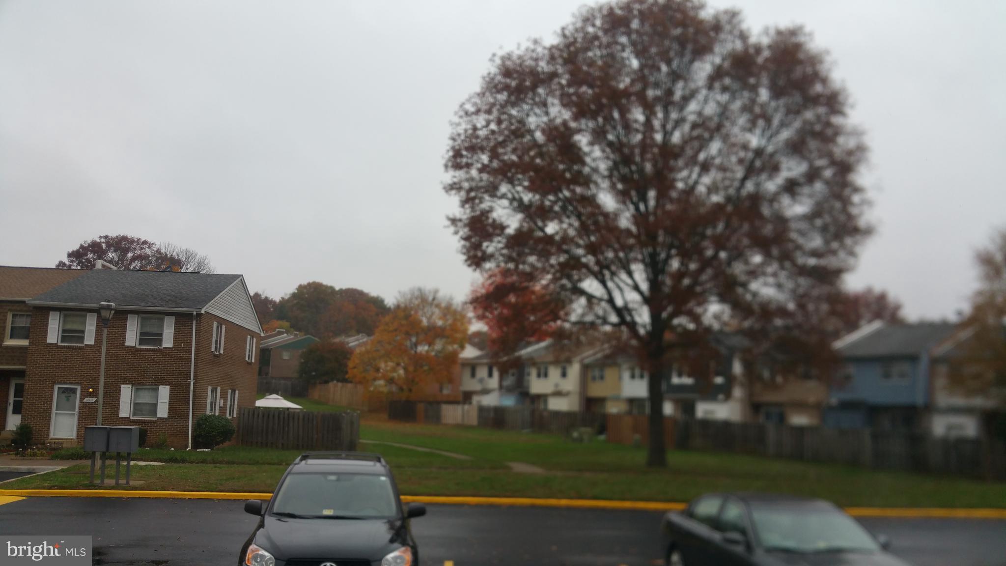 DALE CITY - Residential Lease