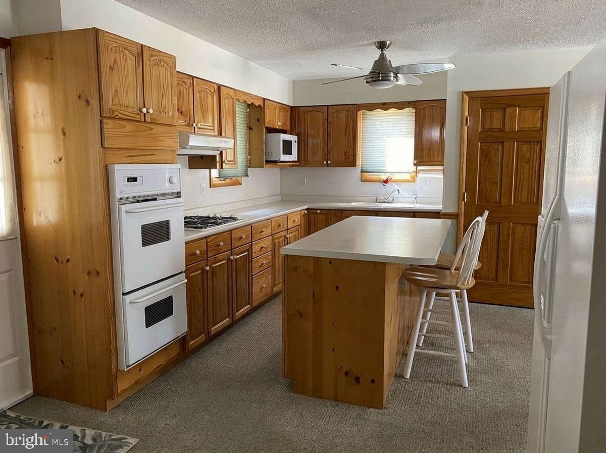 17207 OLD NATIONAL PIKE