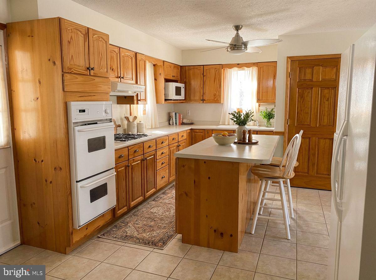 17207 OLD NATIONAL PIKE