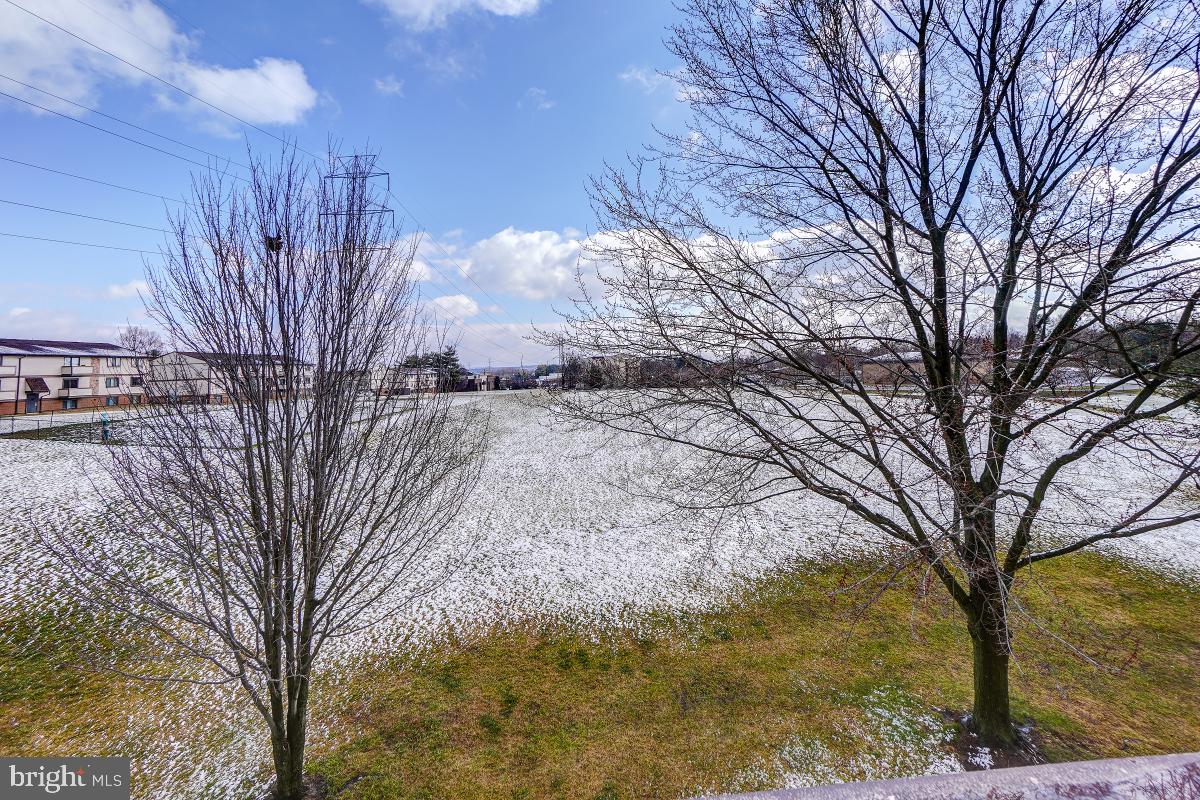 AMBERTOWNE - Residential Lease