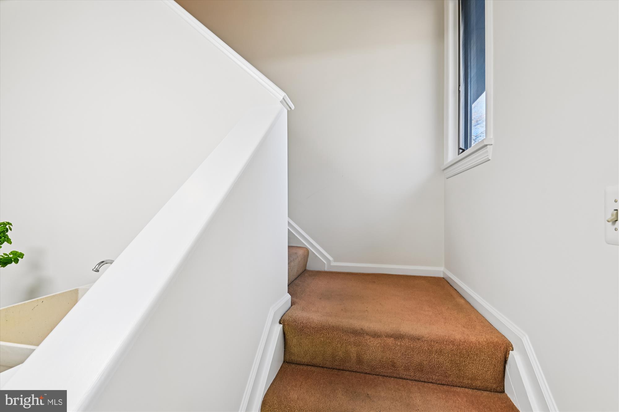 THE MEADOWS OF GREEN SPRING - Residential