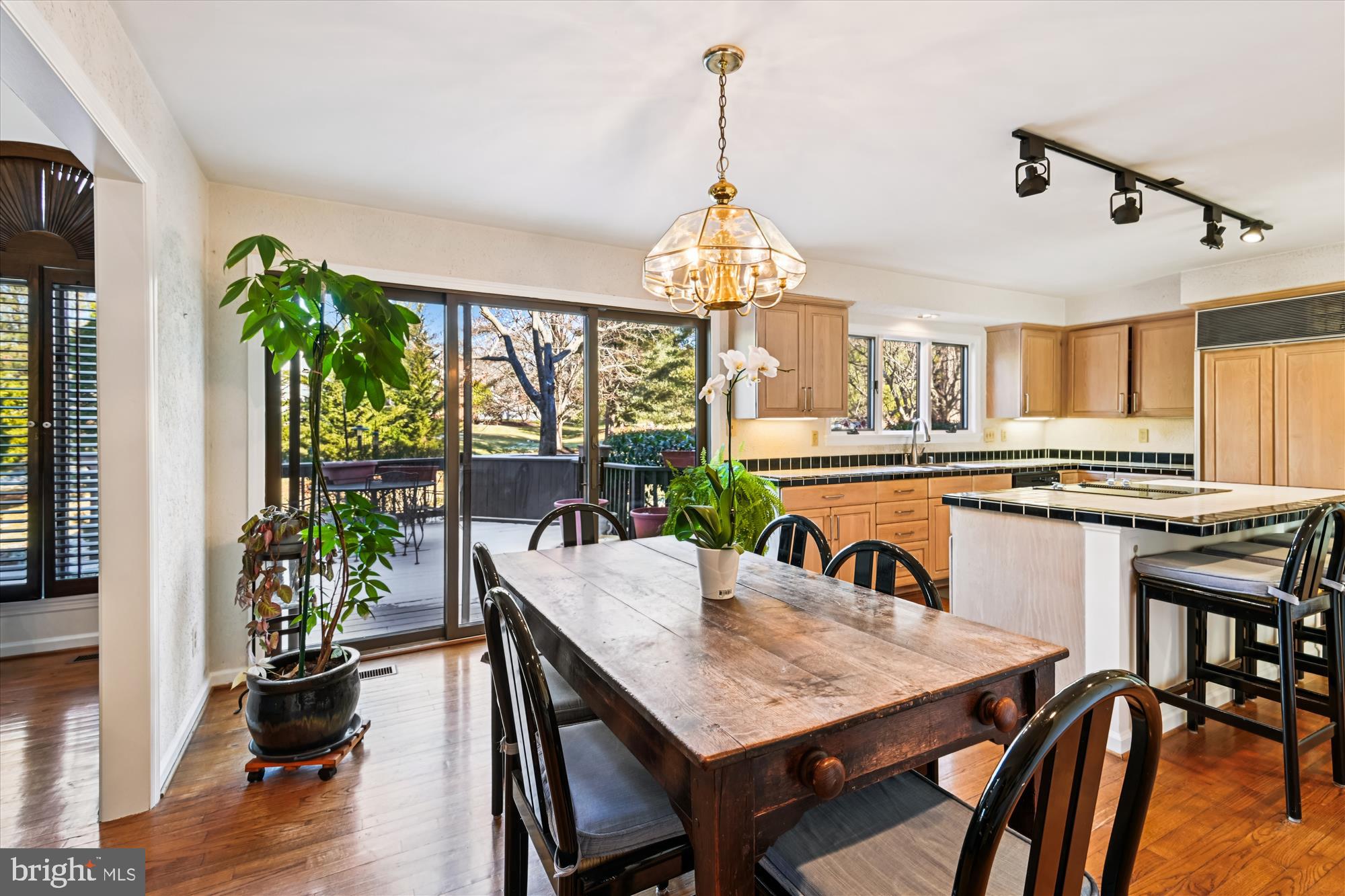 THE MEADOWS OF GREEN SPRING - Residential