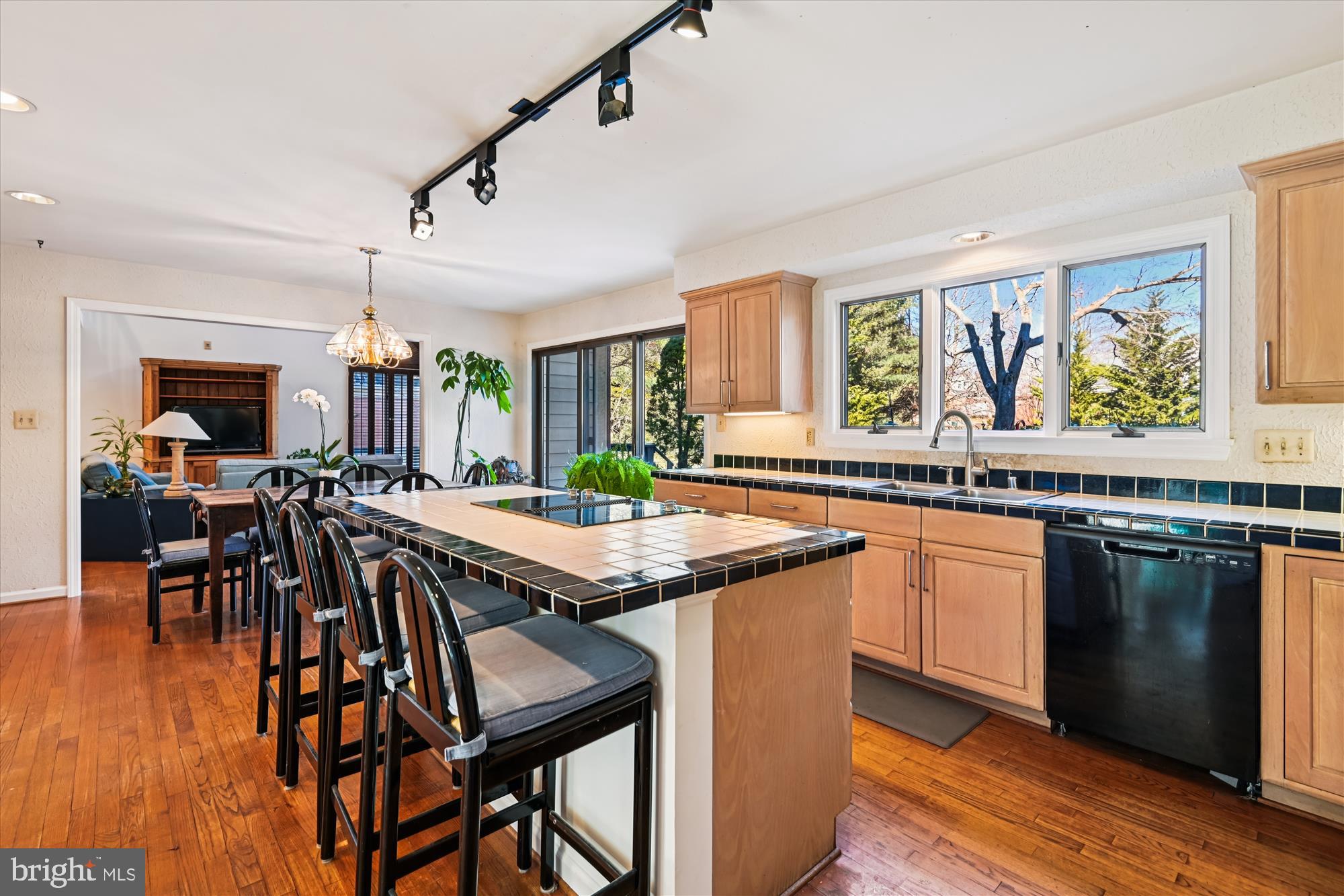 THE MEADOWS OF GREEN SPRING - Residential