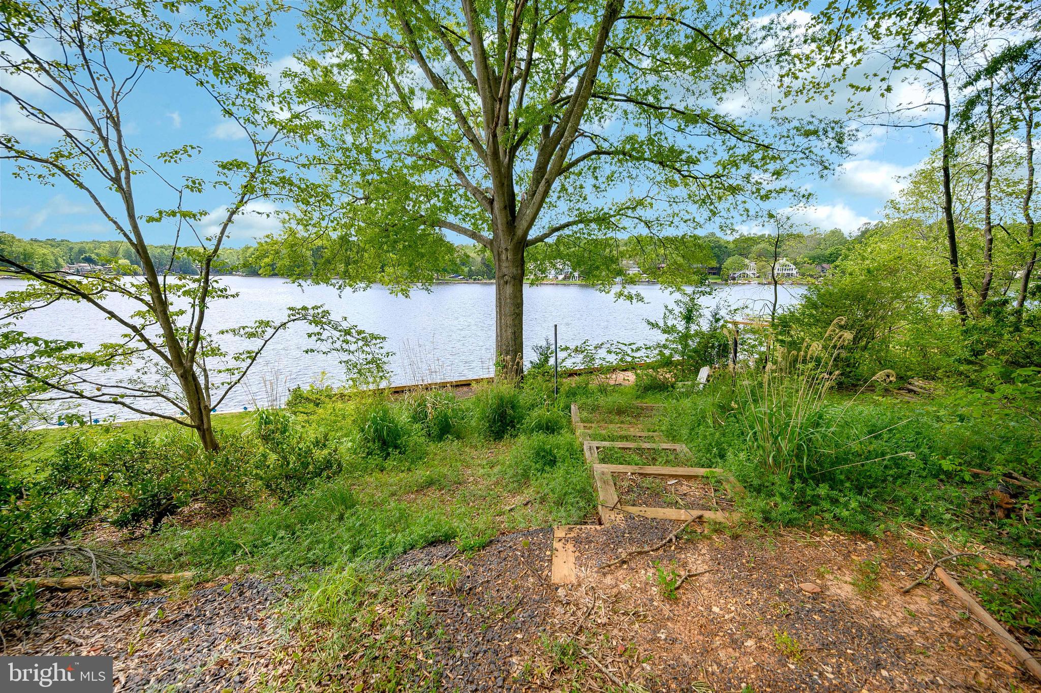 LAKE OF THE WOODS - Land