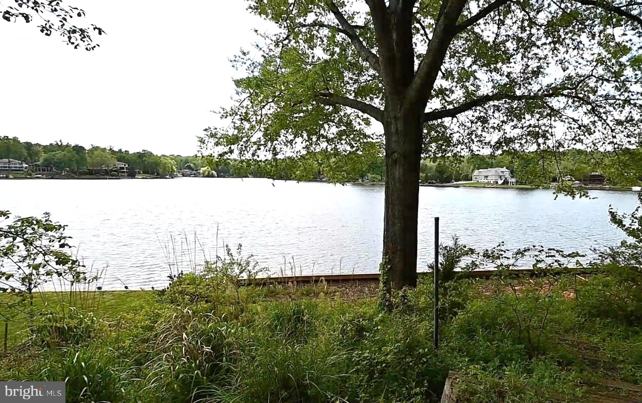 LAKE OF THE WOODS - Land