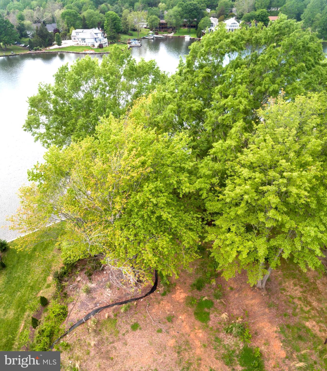 LAKE OF THE WOODS - Land