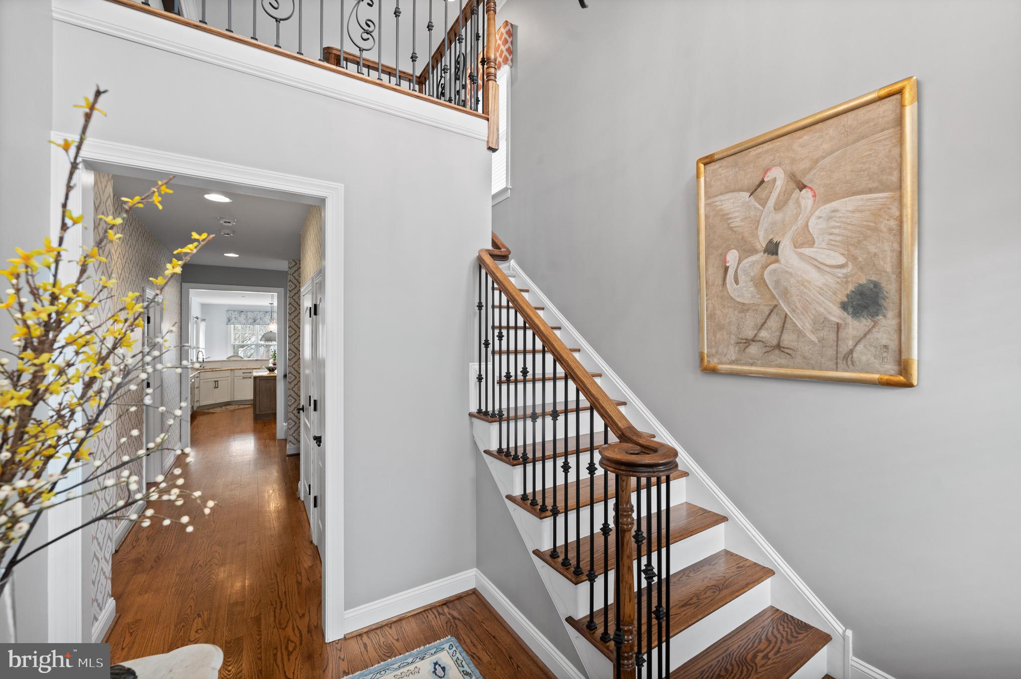 BELMONT HILLS - Residential