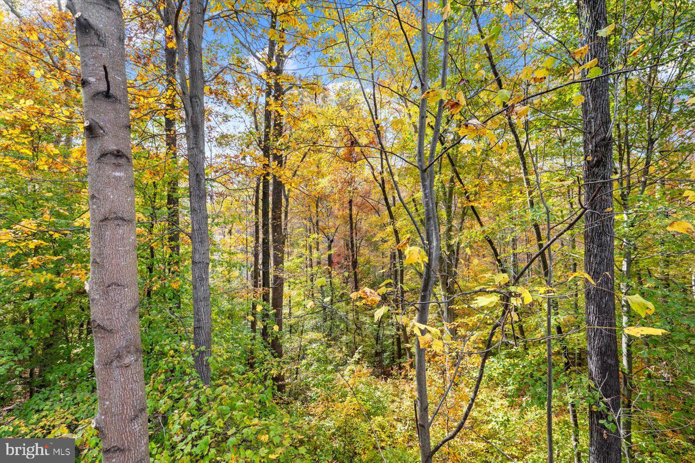 PRESIDENTIAL LAKES - Residential