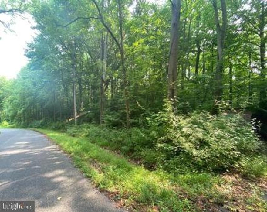 Welcome to Chesapeake Beach, an enchanting retreat nestled on the picturesque shores of the Chesapeake Bay. An opportunity to own a  1.75-acre wooded lot in the Camp Roosevelt Community. Immerse yourself in the tranquil beauty of this stunning lot and bring your imagination to build your dream home, where nature's grandeur meets the allure of coastal living. Take advantage of the community pier, which offers seamless access to the shimmering waters of Chesapeake Bay. Picture yourself strolling along the sandy beach, basking in the sun's warm embrace, or creating unforgettable memories with family and friends. For outdoor enthusiasts, Chesapeake Beach is a haven of adventure. Embark on thrilling expeditions along the Chesapeake Beach Rail Trail, a scenic pathway that winds through breathtaking landscapes. Explore the area's rich history by visiting the Chesapeake Railway Station, a testament to the region's storied past. With marinas, piers, and public ramps readily available, this location caters to fishing enthusiasts and offers endless opportunities to reel in the catch of a lifetime. Set sail on fishing charters, where you can test your angling skills and experience the thrill of the open water. Whether you envision building your dream getaway retreat or investing in a slice of paradise, this 1.75-acre wooded lot in Camp Roosevelt Community presents an extraordinary opportunity. Seize the chance to embrace a lifestyle where every day feels like a vacation. (Prospective buyers are advised to conduct thorough due diligence to verify the feasibility of home construction). Please see the attached documents on perk tests and additional comments.