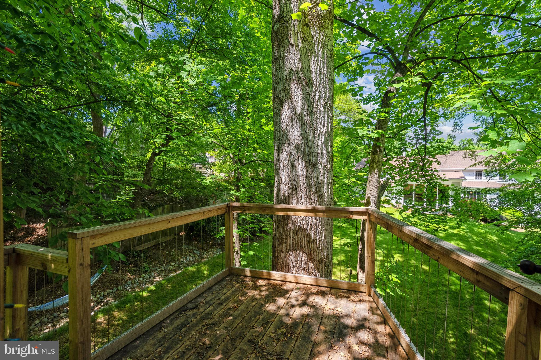 BURNING TREE VIEW - Residential