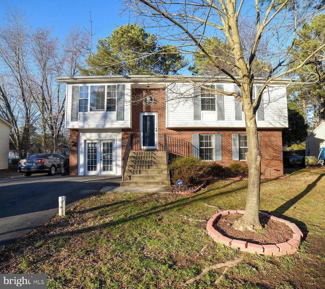 446 CHESTNUT DRIVE