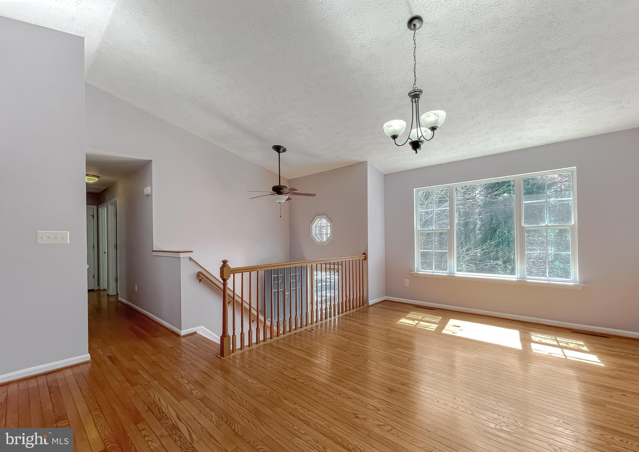 446 CHESTNUT DRIVE