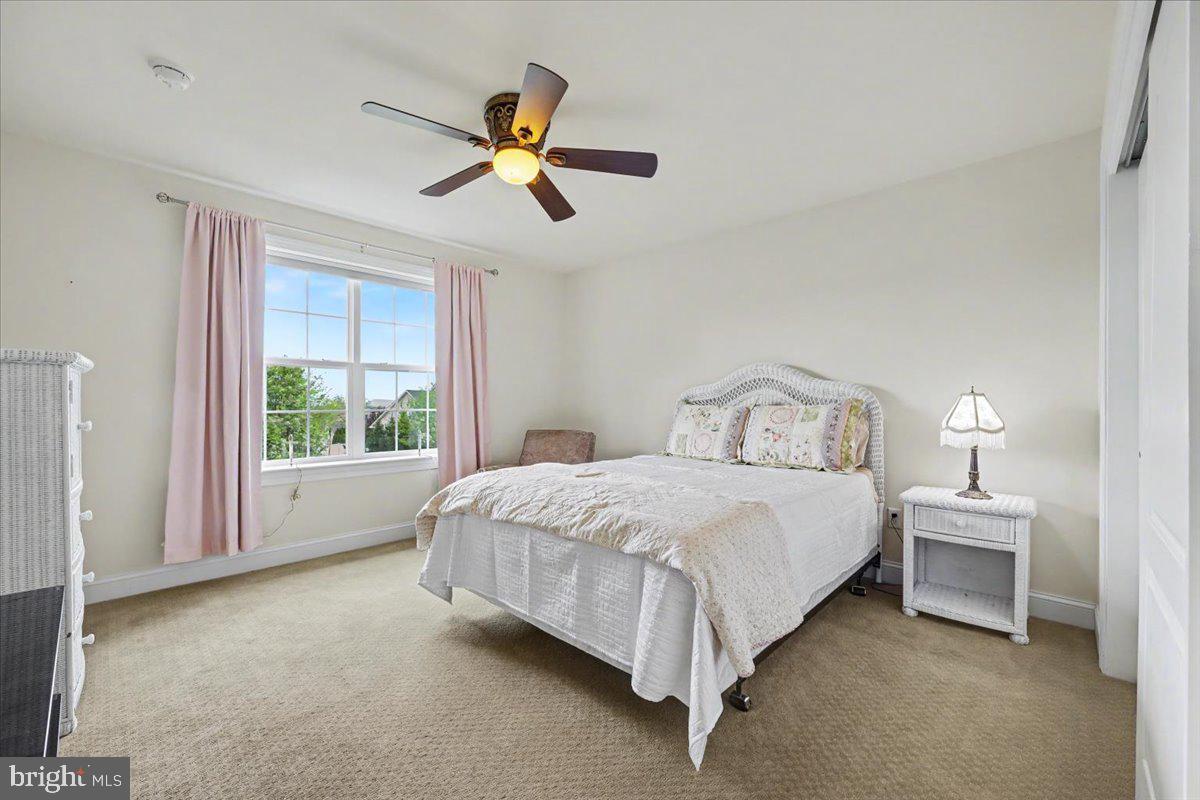 SHANNON ROSE - Residential