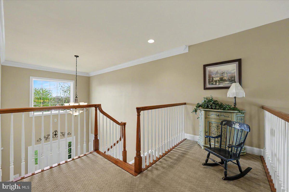 SHANNON ROSE - Residential