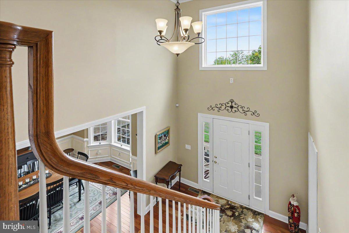 SHANNON ROSE - Residential