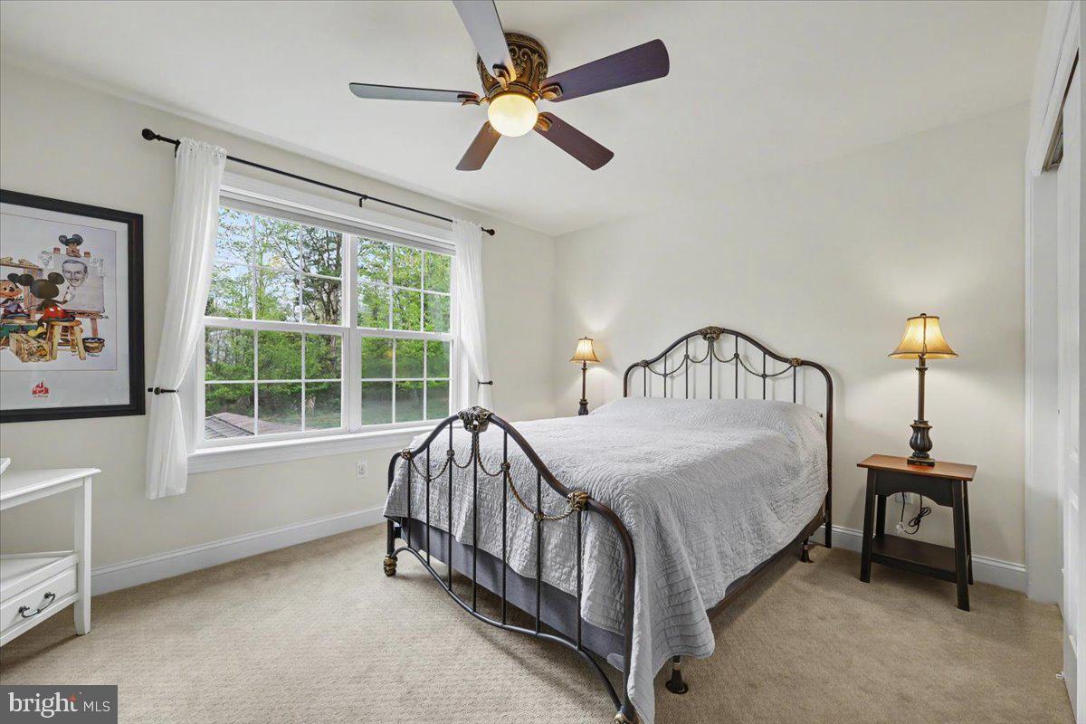 SHANNON ROSE - Residential