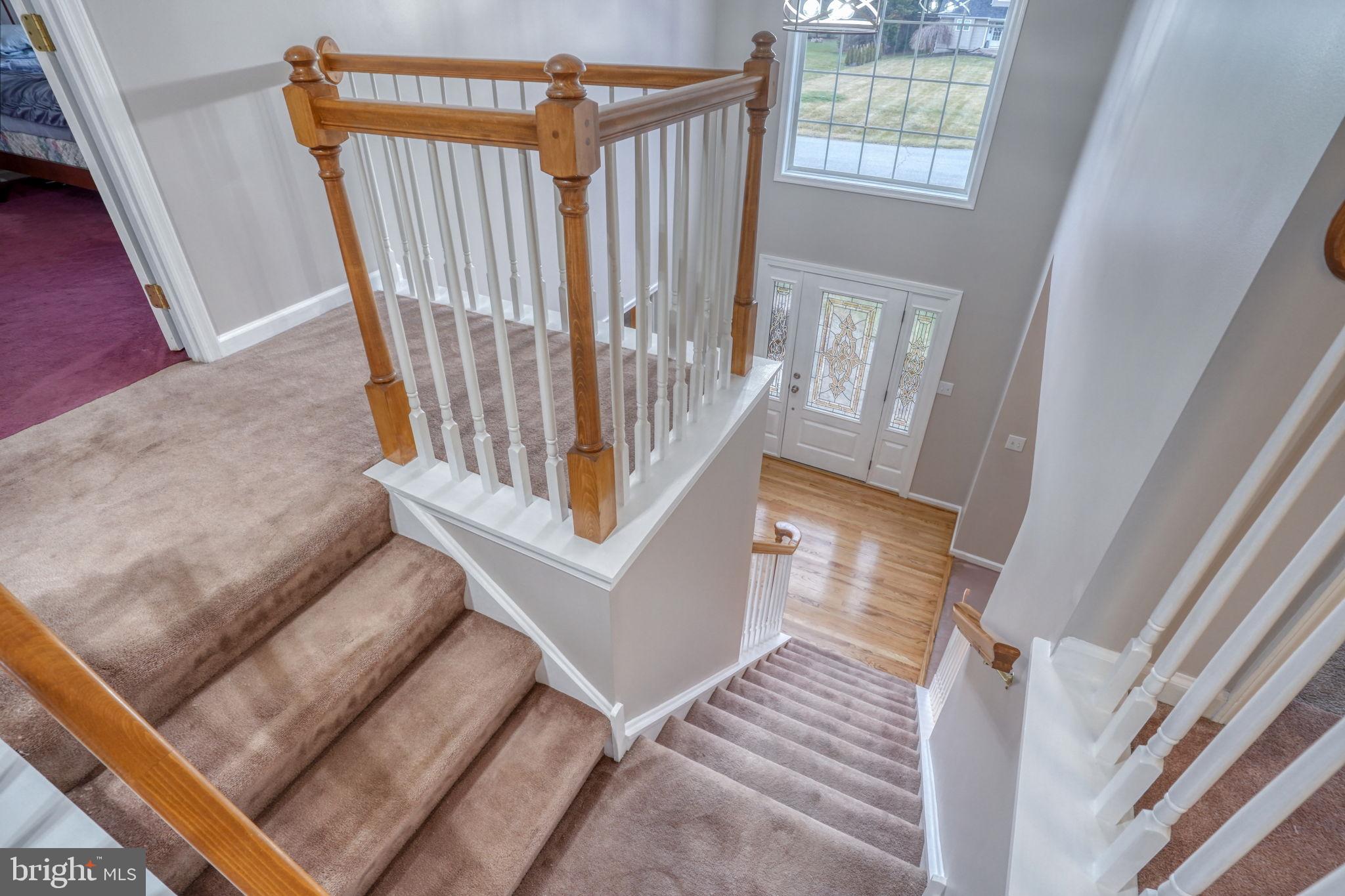 CHESAPEAKE MEADOW - Residential