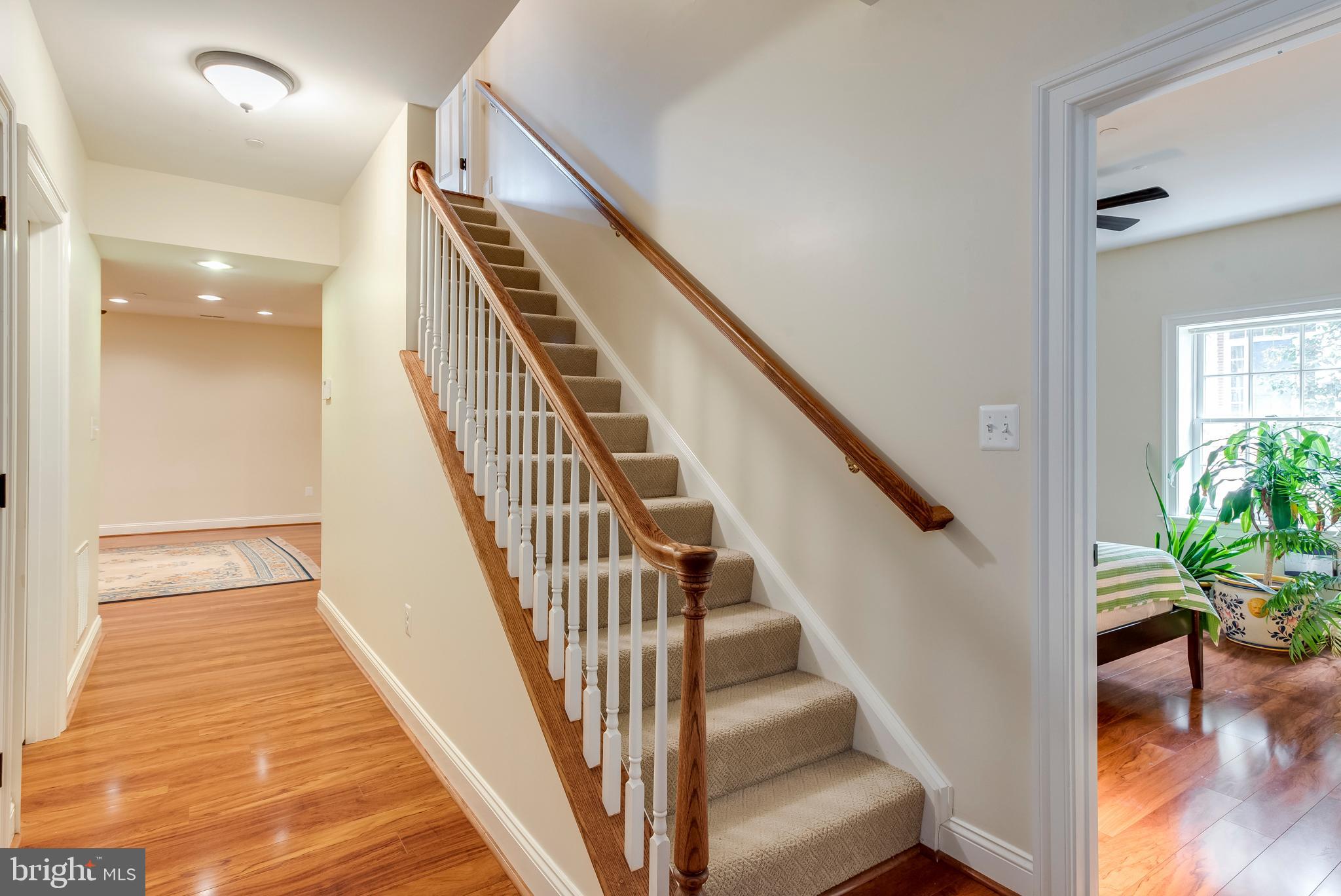 WARDOUR - Residential