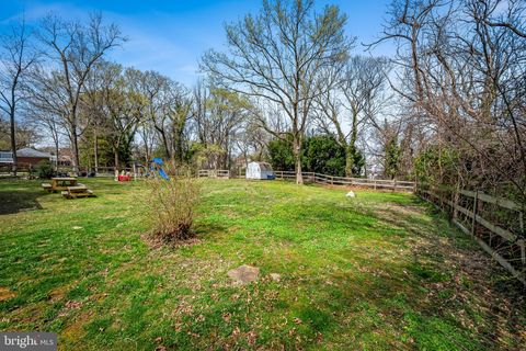 listing image 43