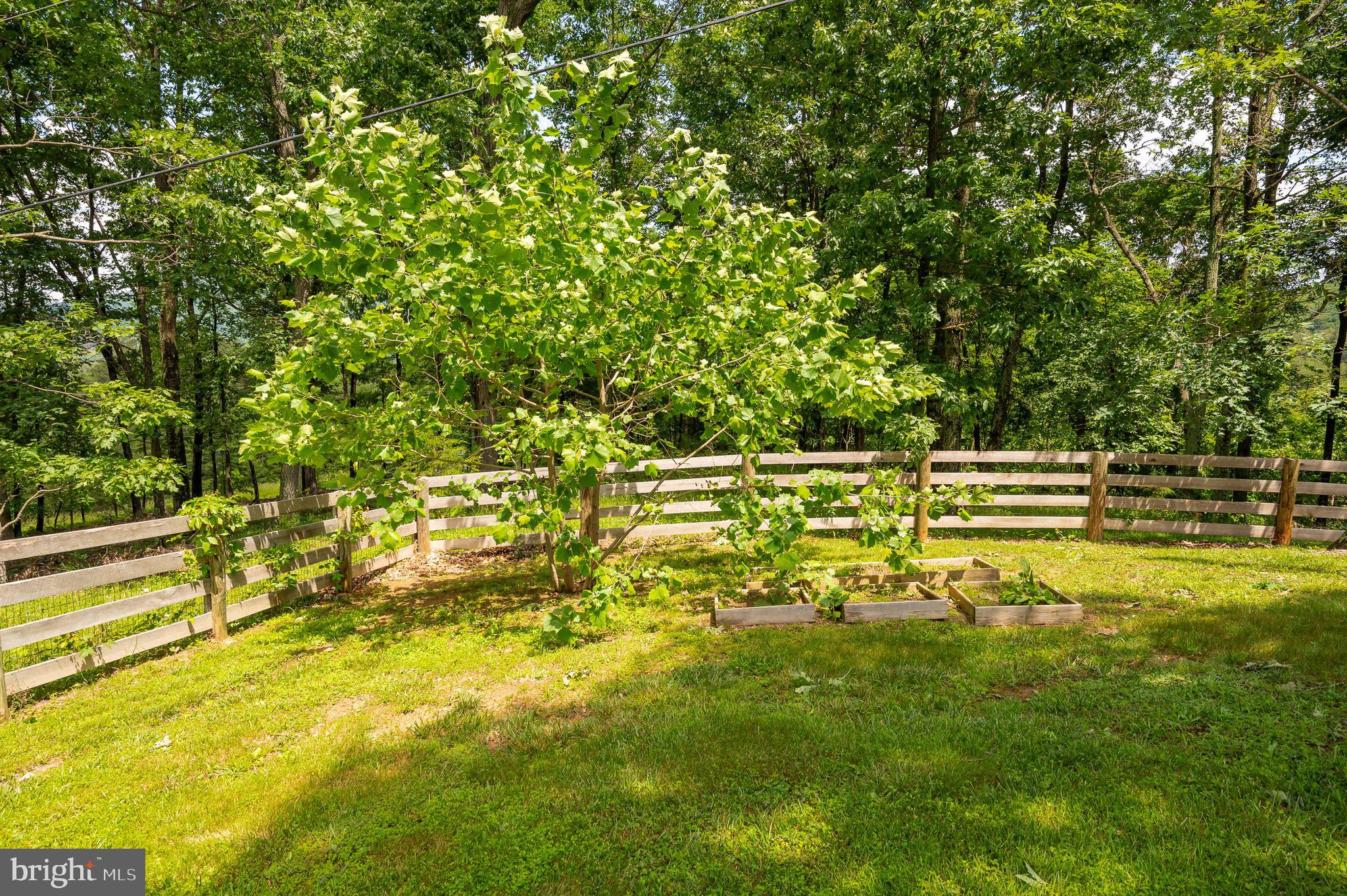 ASHTON WOODS - Residential