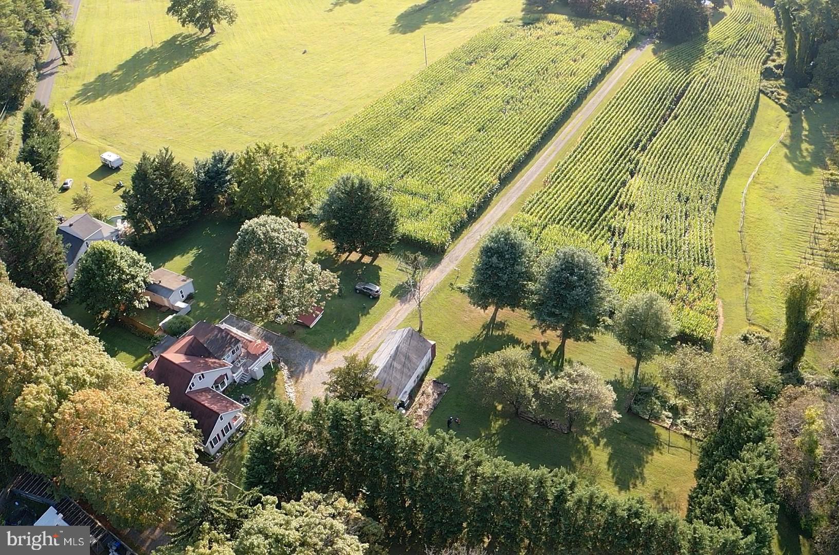 FOREST HILL - Residential