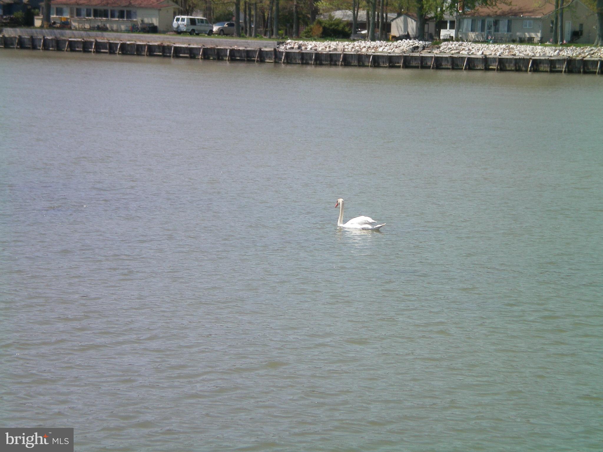COLUMBIA BEACH - Residential