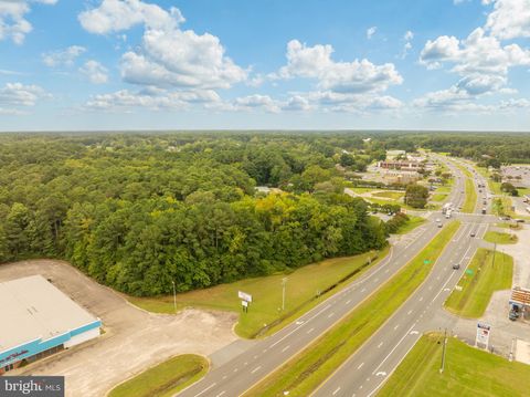 Vacant Land For Sale - Lankford Highway<br/> ONLEY, VA 23418
