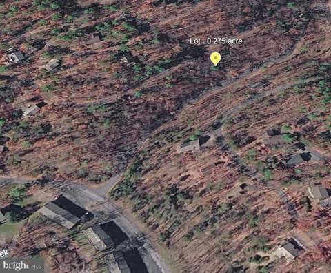 Vacant Land For Sale - LOT 161 Lee<br/> BASYE, VA 22810