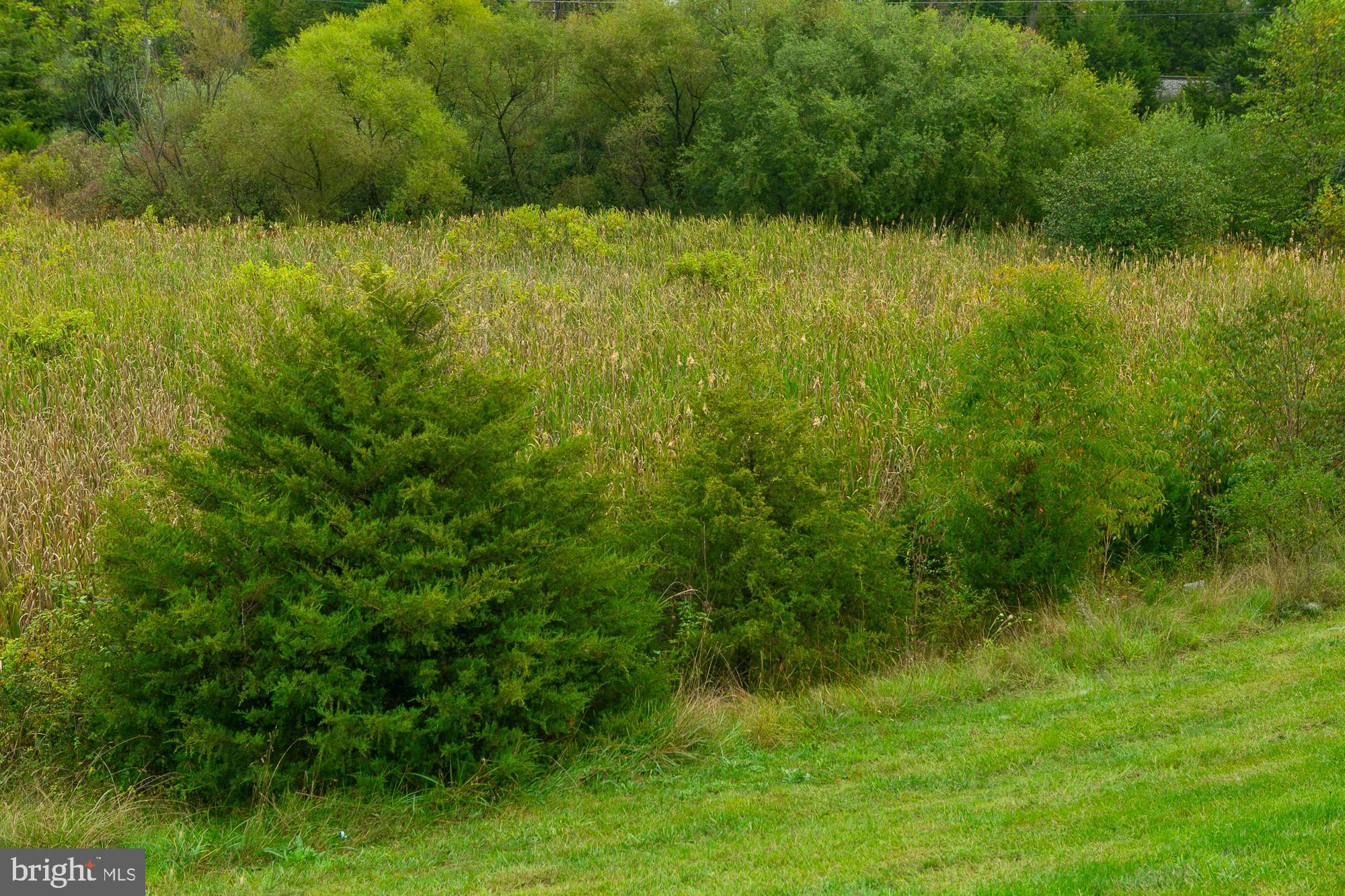 HAMMONDS MILL - Residential