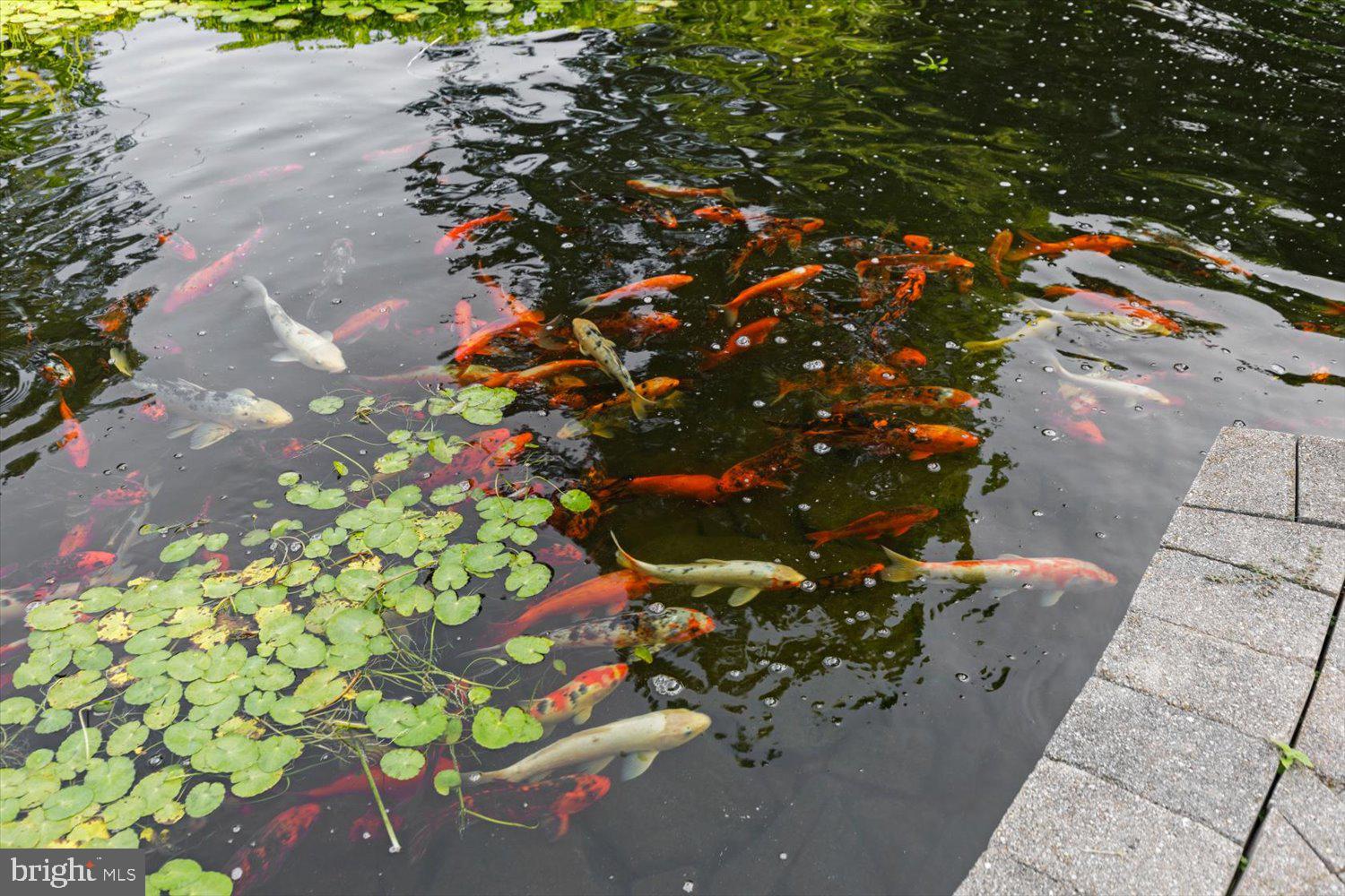 RIVER BEND - Residential