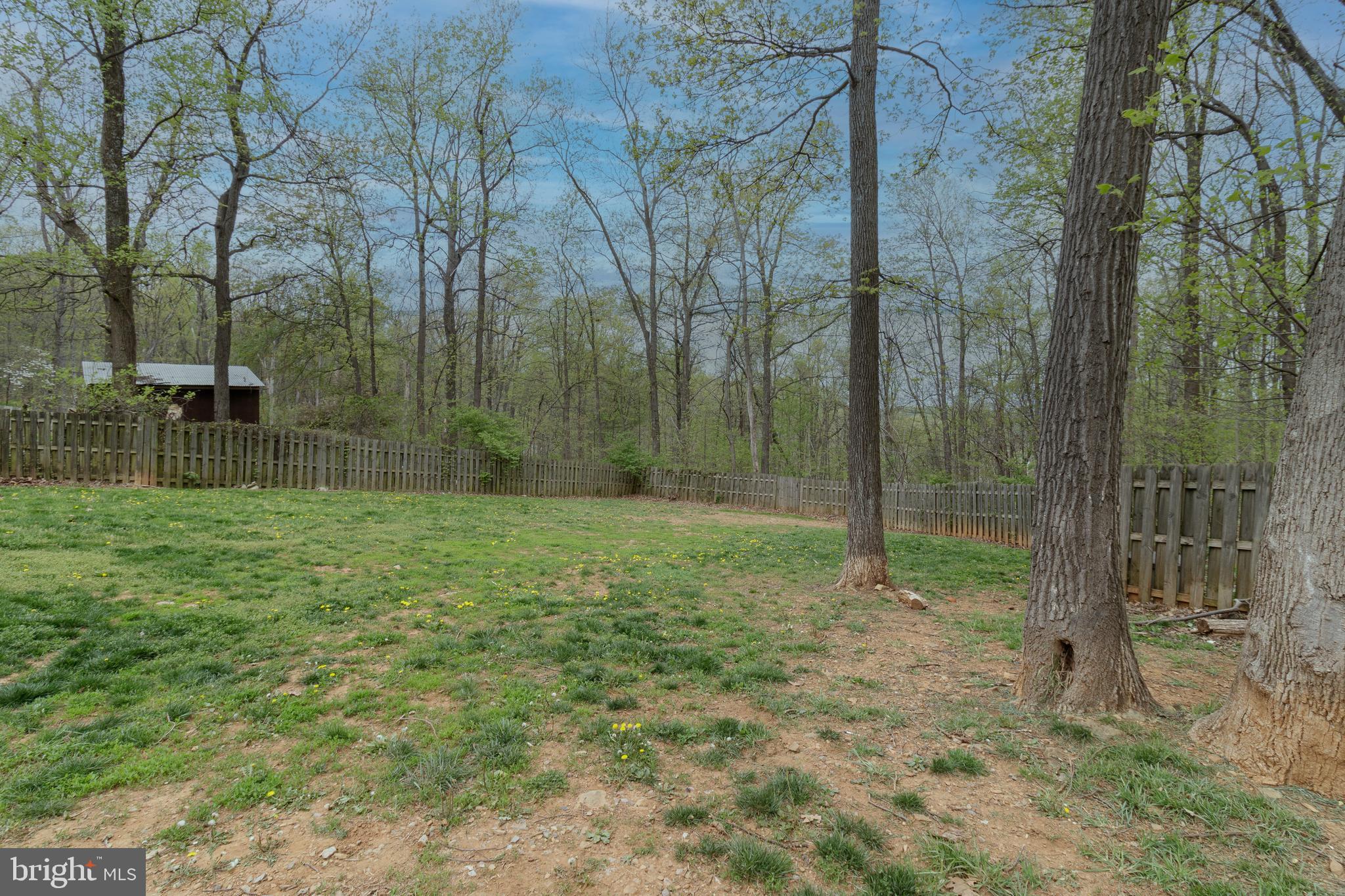 BLUE MOUNTAIN - Residential