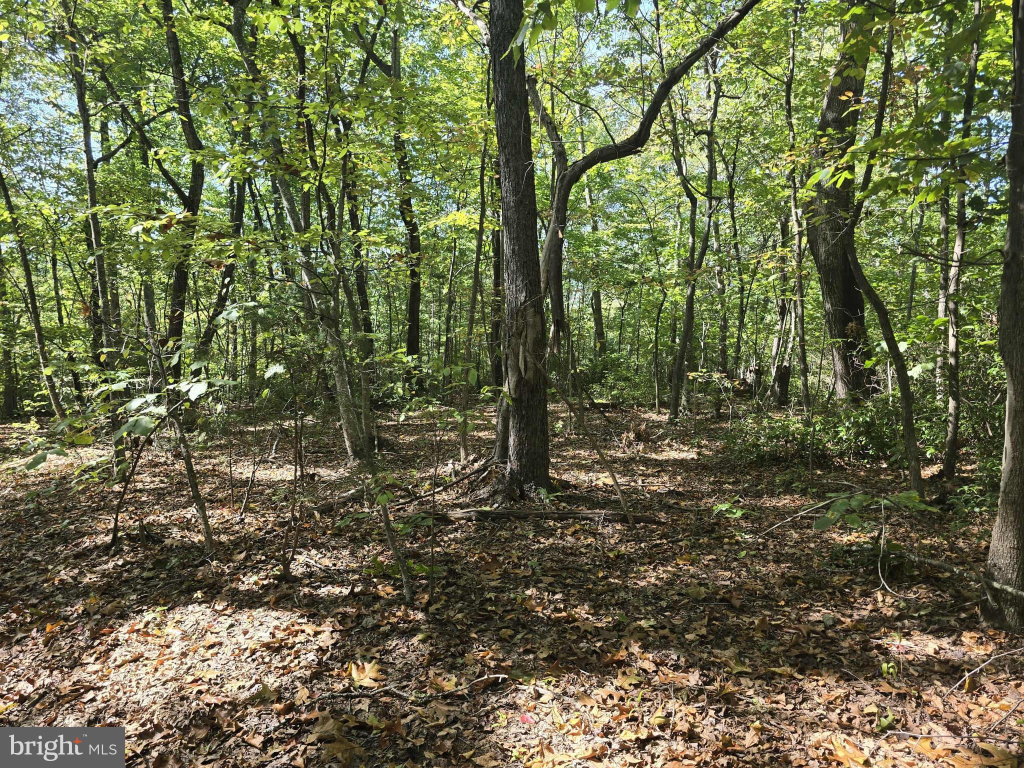 HURT HOLLOW RD