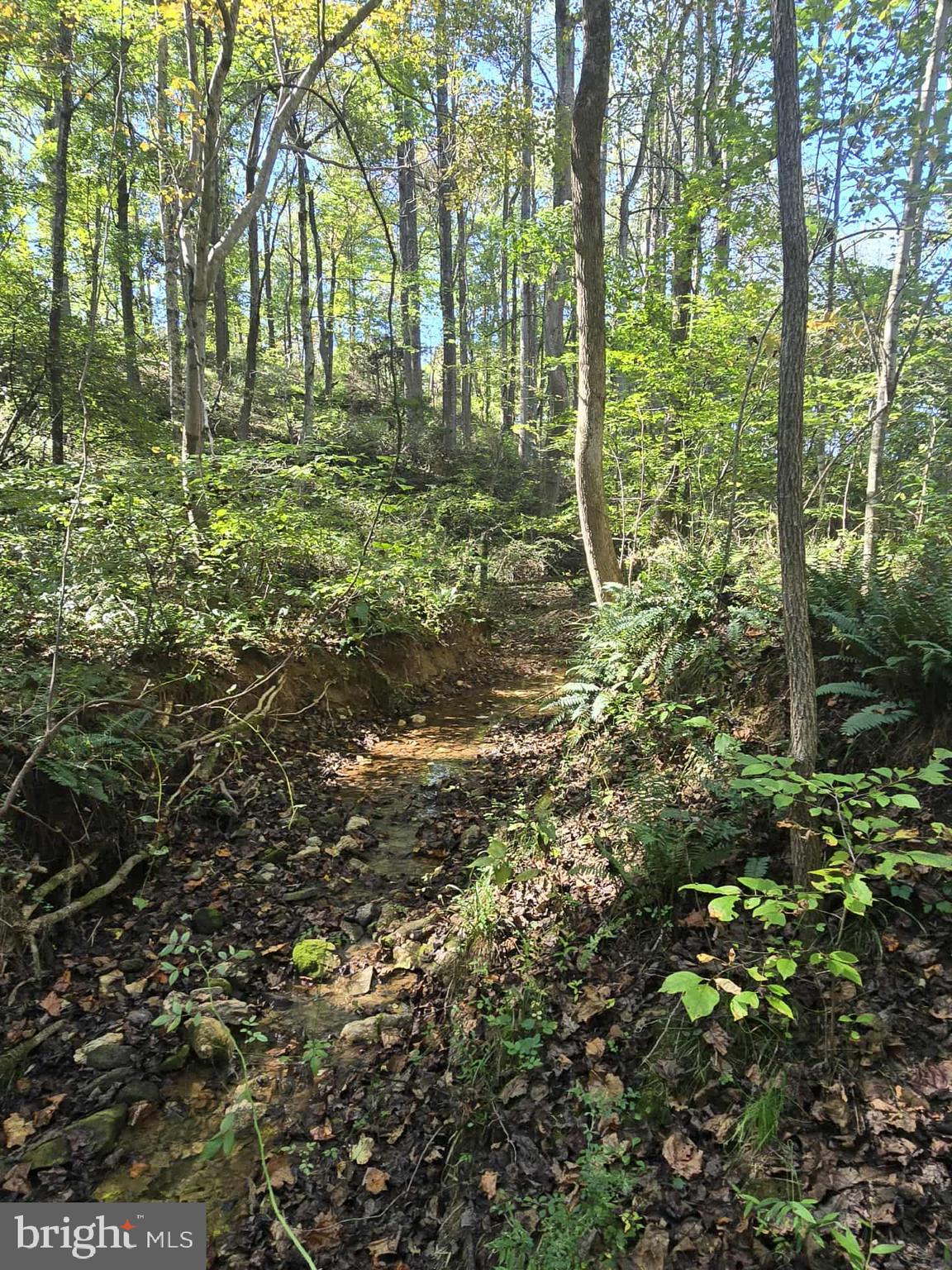 HURT HOLLOW RD