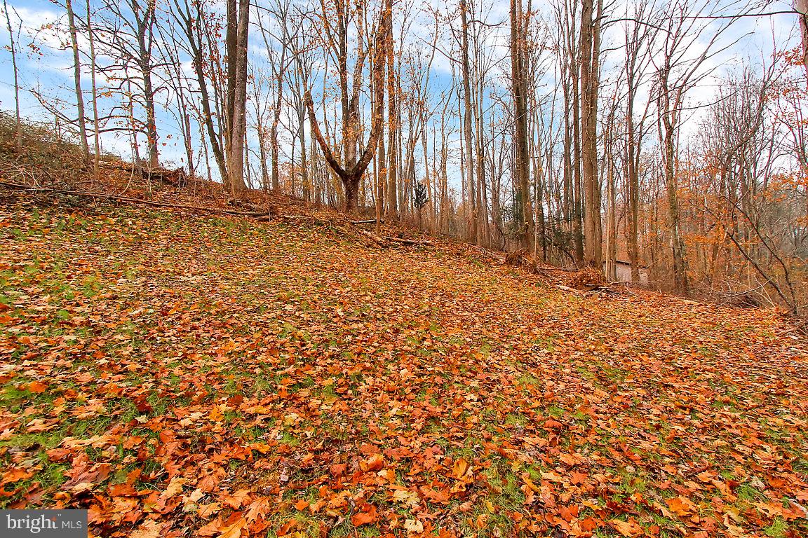 SUSQUEHANNA TRAILS - Residential