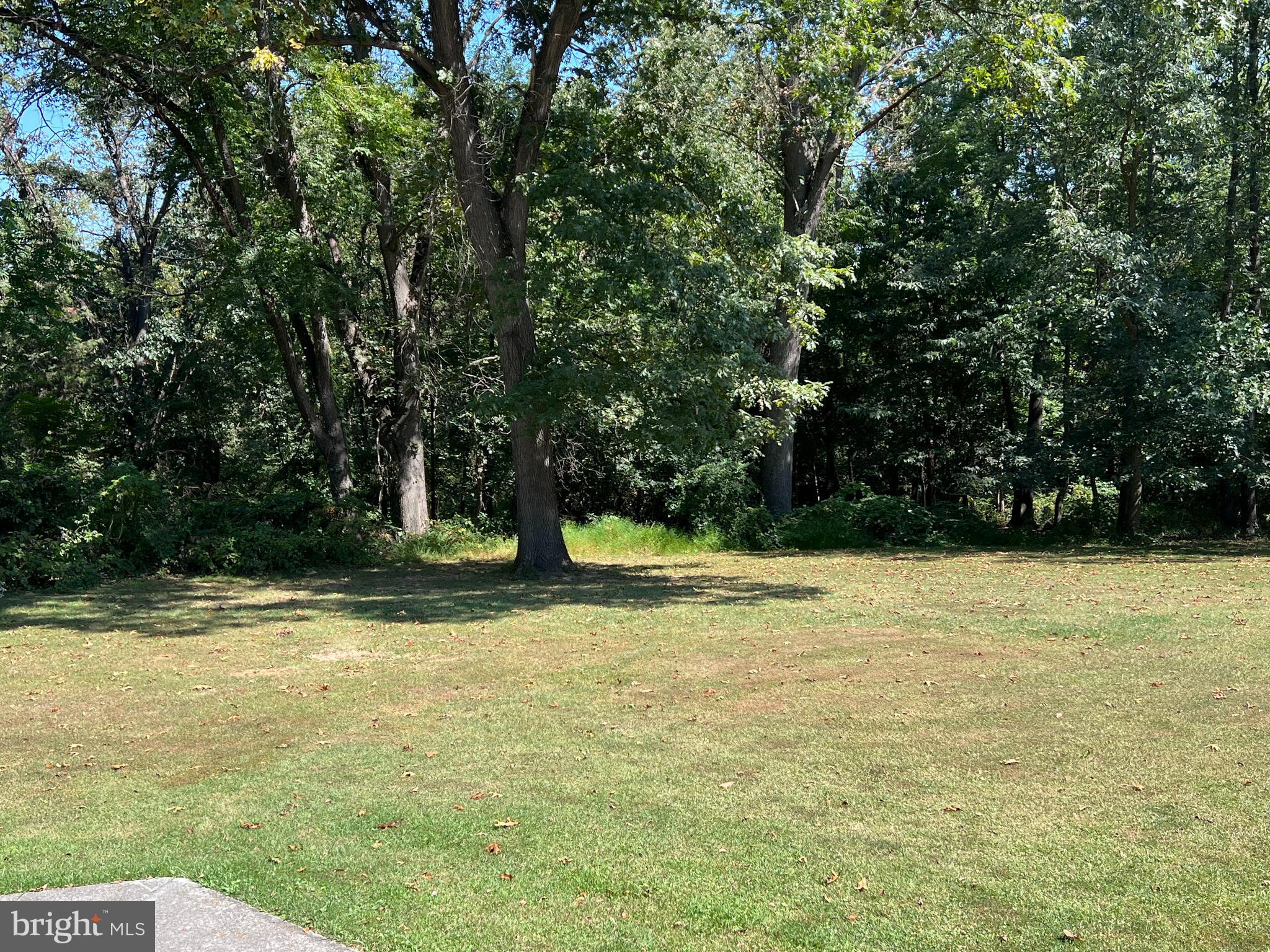 SPRING HOLLOW ESTATES - Residential