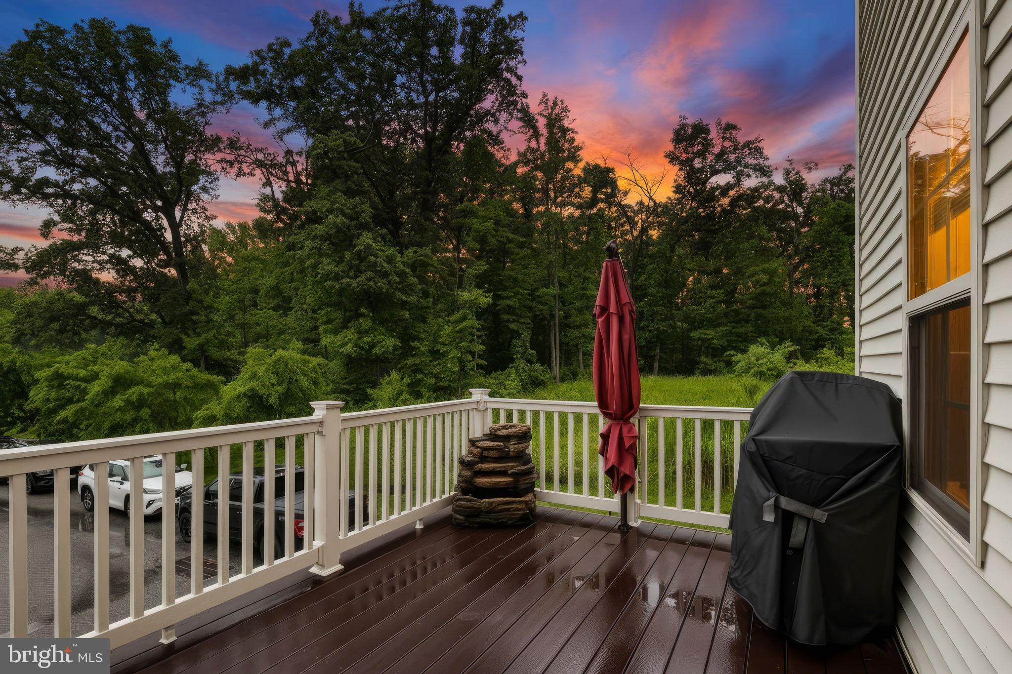 PRESERVE AT WINDLASS RUN - Residential