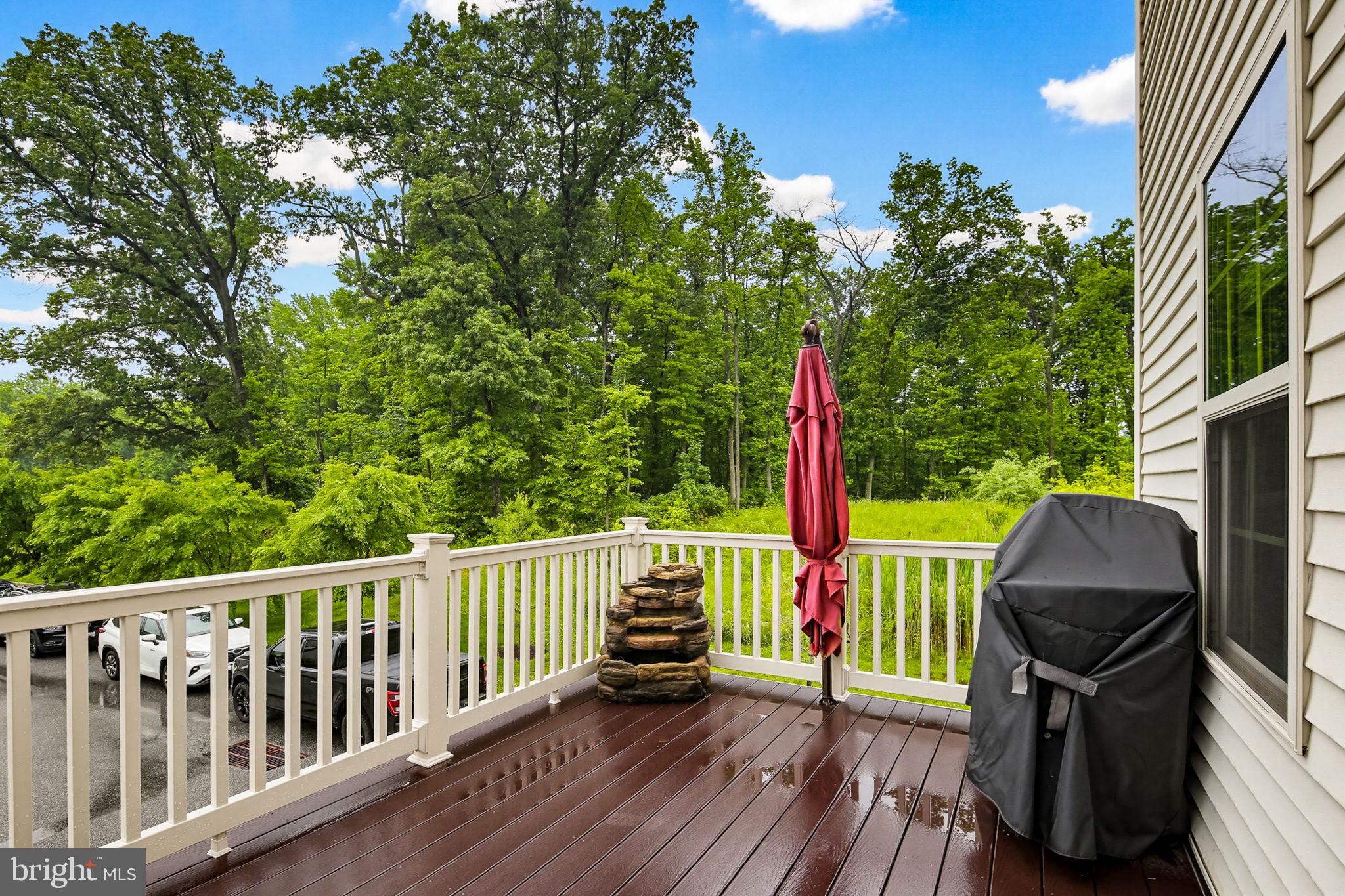 PRESERVE AT WINDLASS RUN - Residential