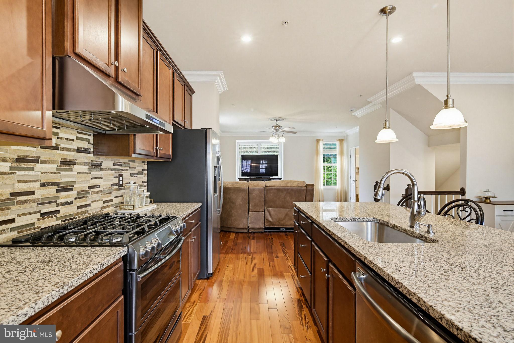 PRESERVE AT WINDLASS RUN - Residential