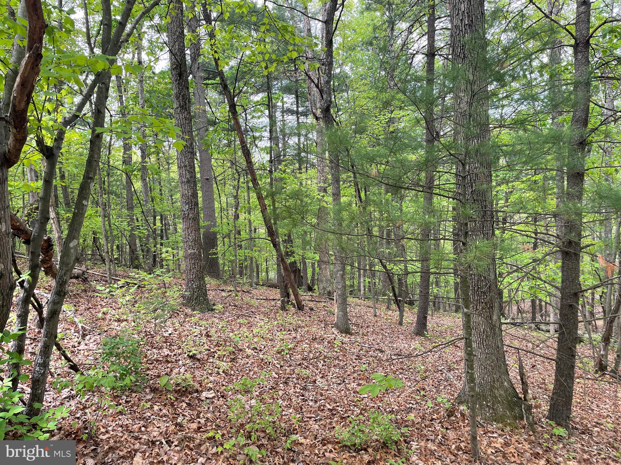 SKY BRYCE - Residential