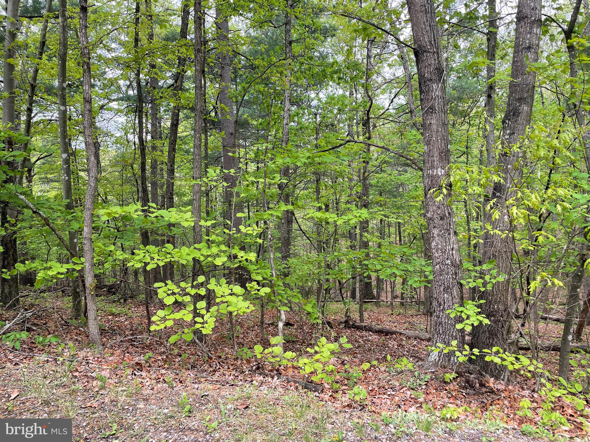 SKY BRYCE - Residential