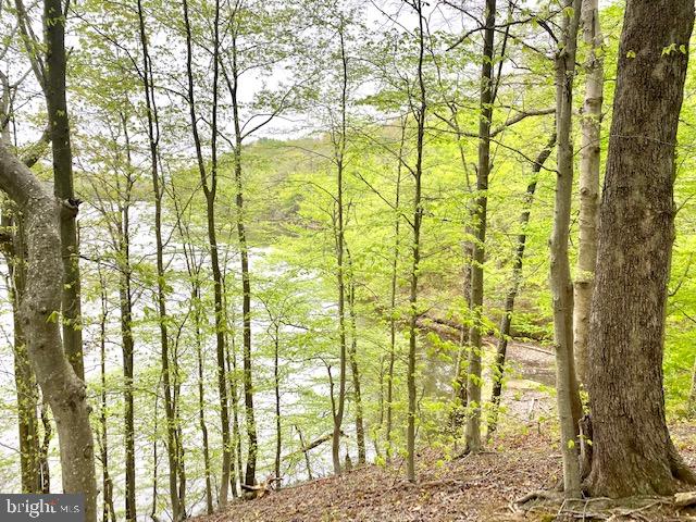 OCCOQUAN OAKS - Land