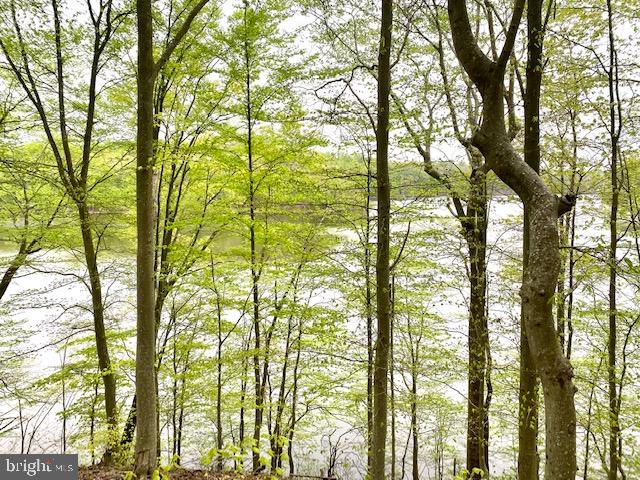 OCCOQUAN OAKS - Land