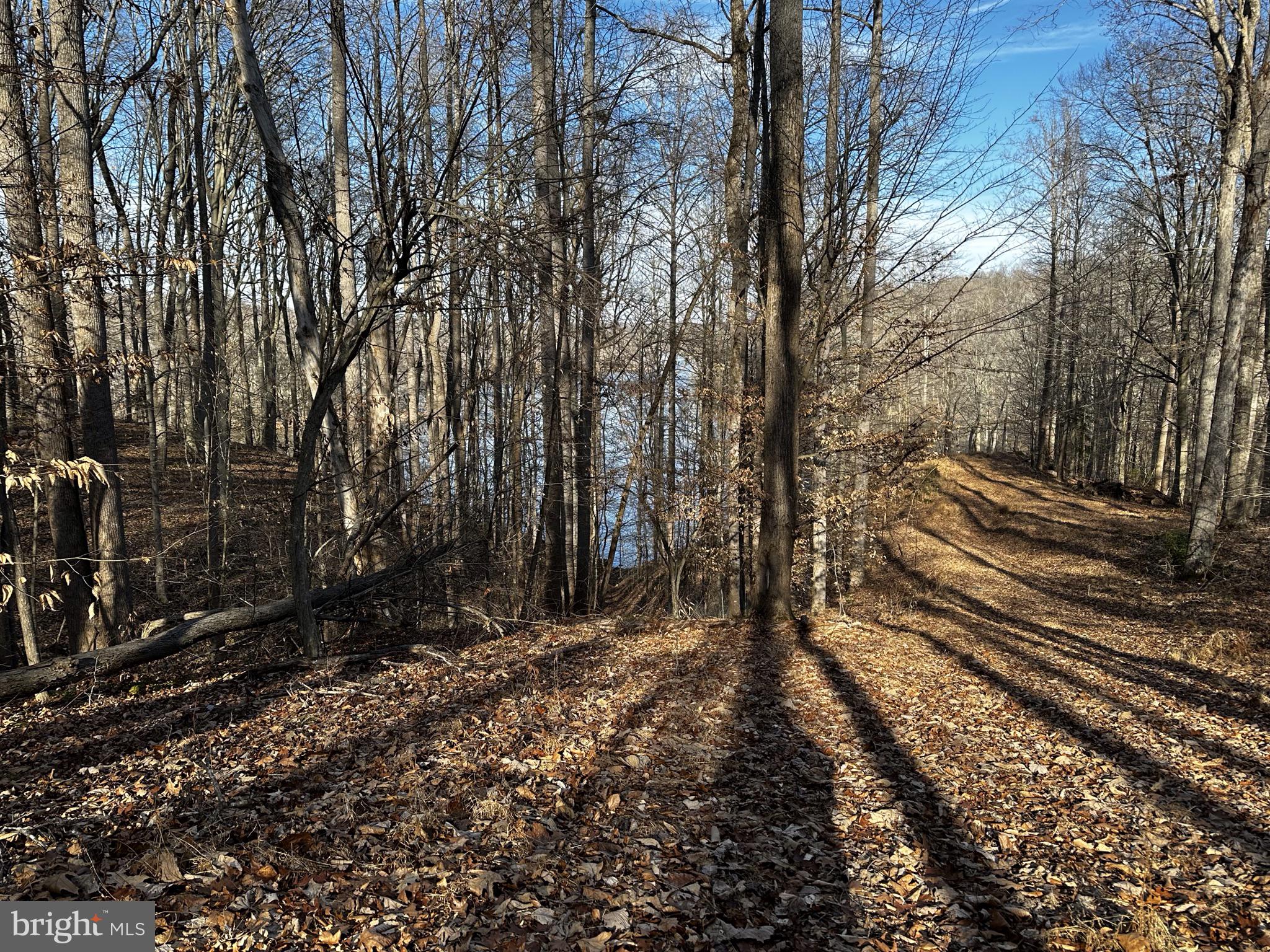 OCCOQUAN OAKS - Land