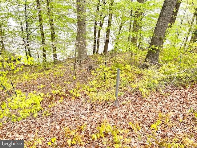 OCCOQUAN OAKS - Land