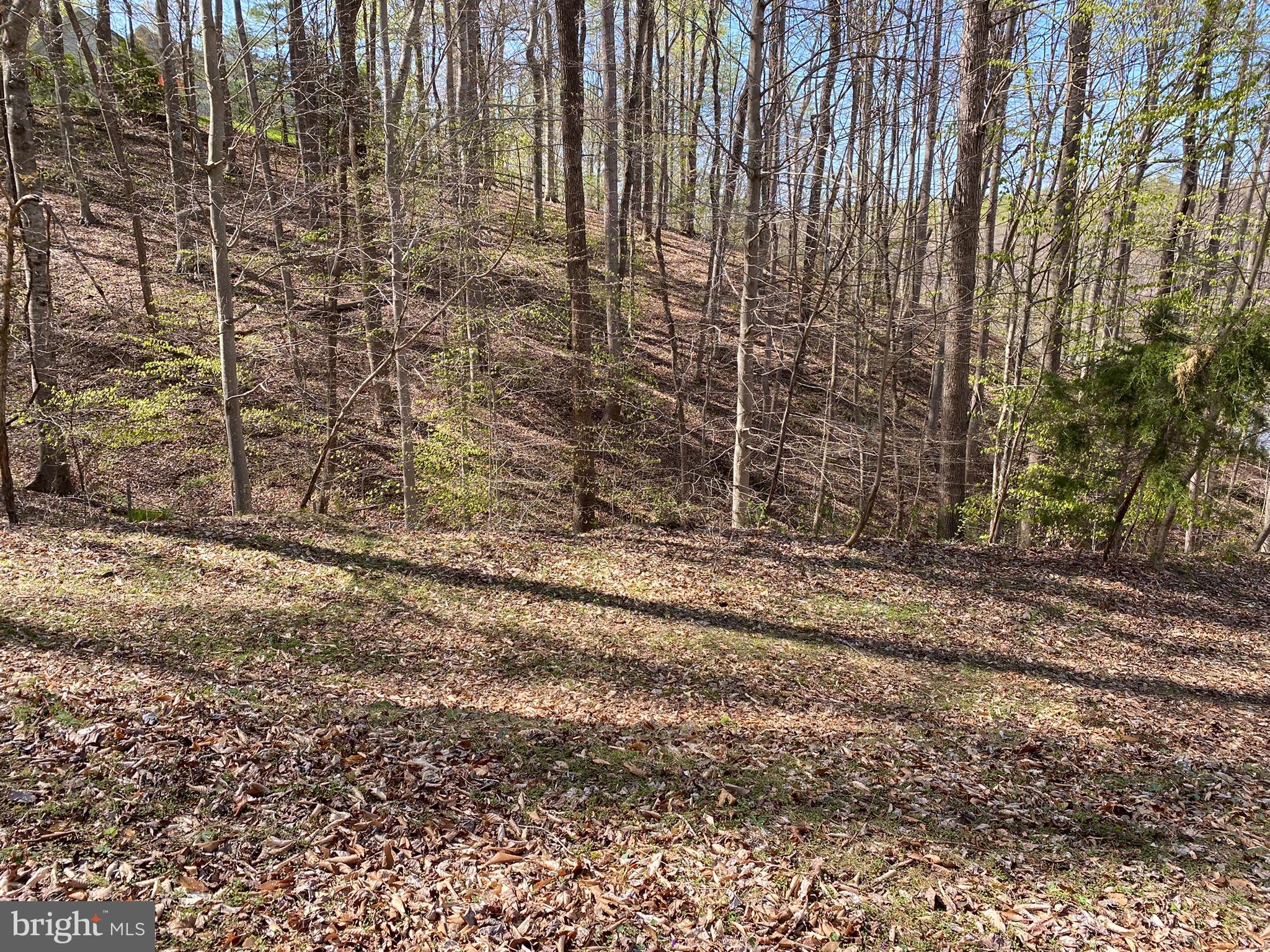 OCCOQUAN OAKS - Land