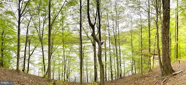 OCCOQUAN OAKS - Land