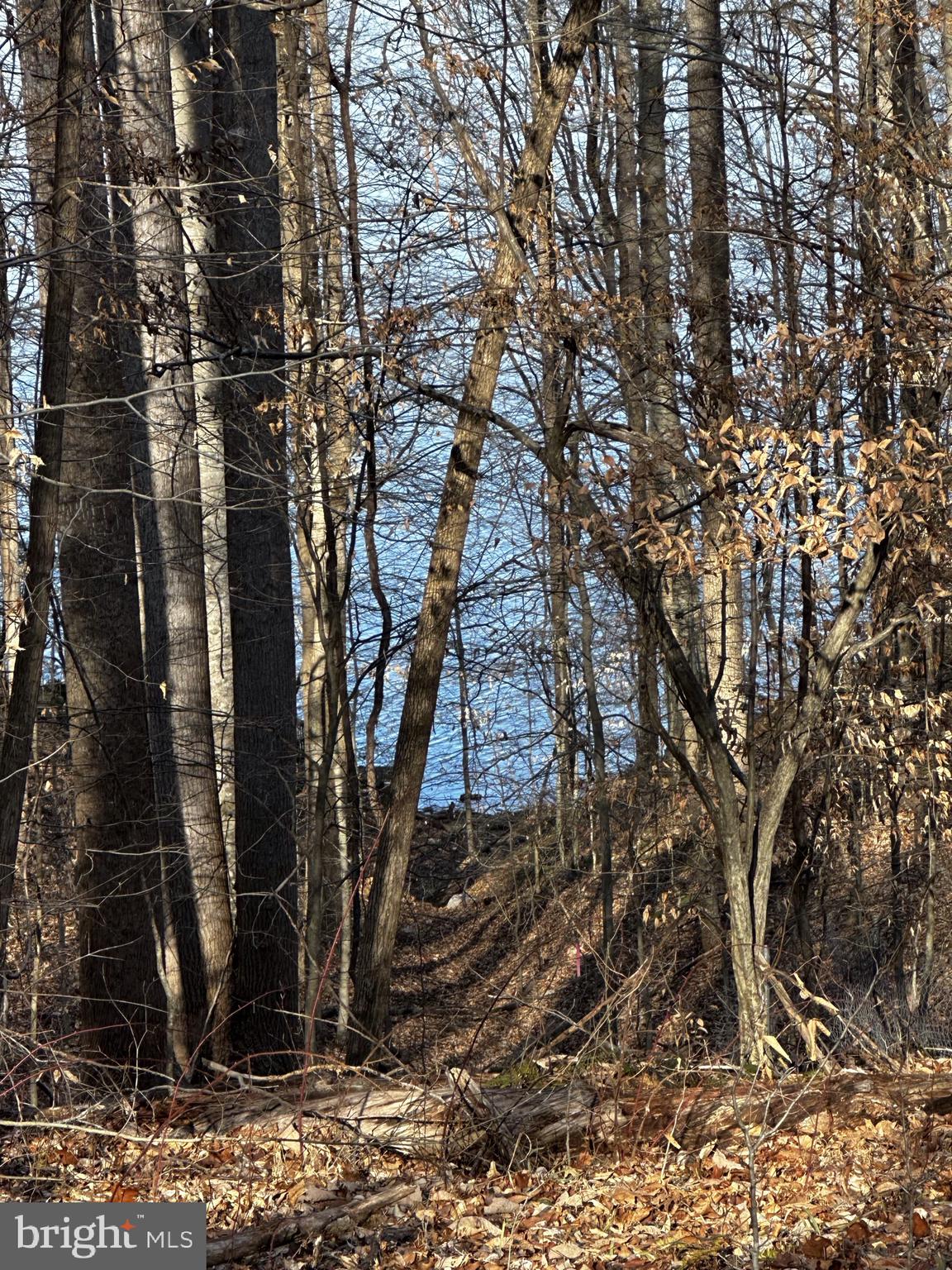 OCCOQUAN OAKS - Land