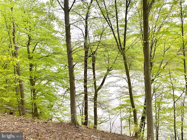 OCCOQUAN OAKS - Land